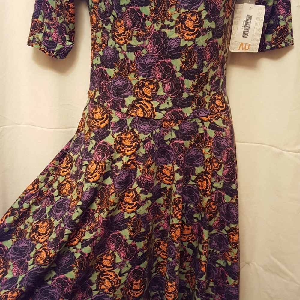 LuLaRoe XS Nicole Dress